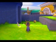 Курки-улюблені ласощі райноков