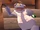 Bullwhip Rhynocs
