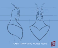 Profile concepts of Flash by Richard Lyons
