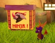 The NINJA! Rhynoc boxes in Spyro Reignited Trilogy.