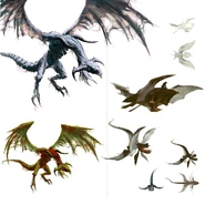 Early Wyvern designs by Veronique Meignaud