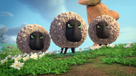 Angry Sheeps