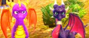 Spyro Cynder CheetahVillage