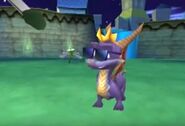 Spyro wearing sunglasses during interview