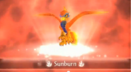 Sunburn in his elemental background.