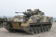 RealWorld IFV-24