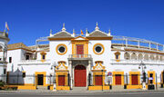 RealWorld Bullfighting Arena