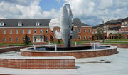 RealWorld Louisiana University Fountain