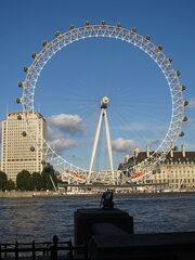 RealWorld London Eye