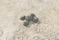 Decoy Rock