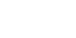 Sa80 bayonet