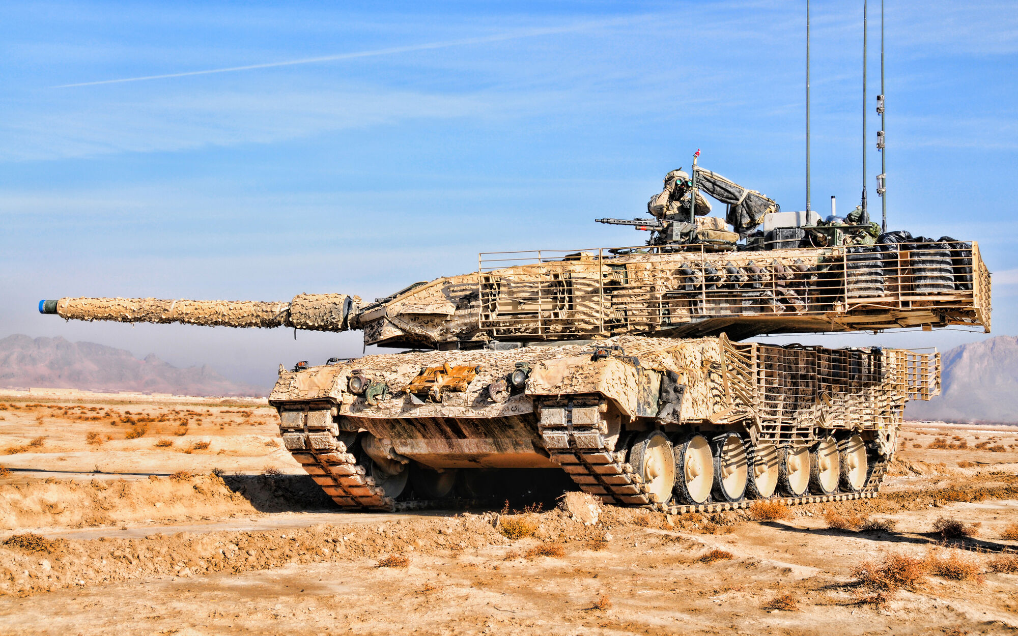 feminin spyd tapperhed Leopard 2A6M - Official Squad Wiki