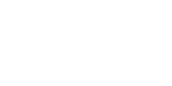 Vz61