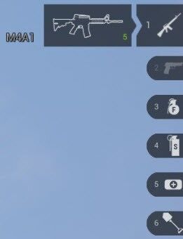 Selected m4a1.jpg