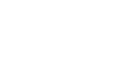 Icon Ak12