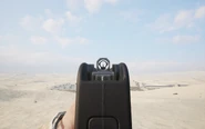 Iron Sight Visier im Anschlag