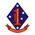 1st Marines Regimental Combat Team