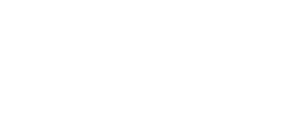 C8A3 Ironsight Foregrip