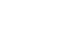 Pkm 1p29