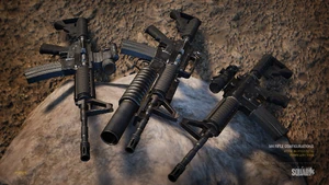 M4variants