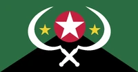 Irregular Militia flag before Version 4.3