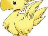 Chocobo (Final Fantasy)
