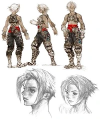 Vaan-concept