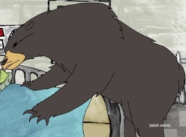 Appalachian Black Bear