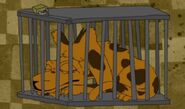 Jaguar seen sleeping in his cage in "Atone Deaf".