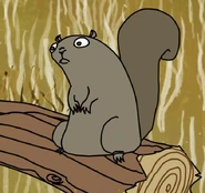 Squirrel.jpg (106 KB)