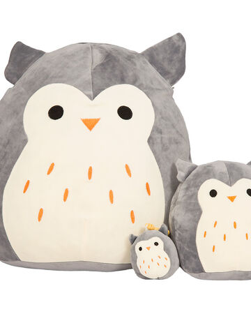 hoot squishmallow