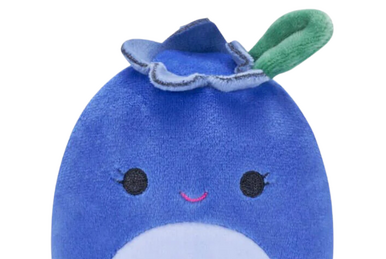 https://static.wikia.nocookie.net/squishmallowsquad/images/0/02/Bluby-Blueberry.png/revision/latest/smart/width/386/height/259?cb=20230927124336