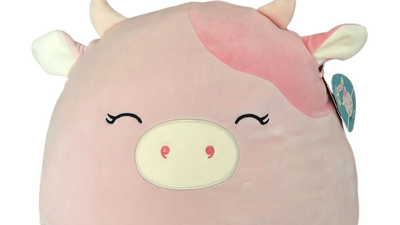 Discuss Everything About Squishmallows Wiki