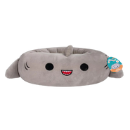 Gordon as a pet bed