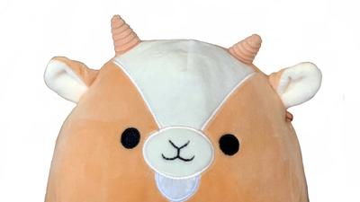 Discuss Everything About Squishmallows Wiki