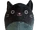 Ibina
