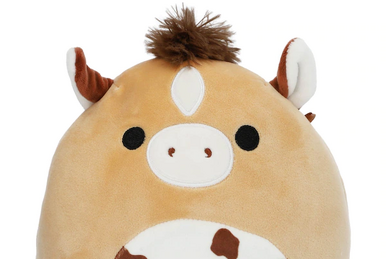 Squishmallow Dunkie the Bison/Buffalo 12” *was used for display