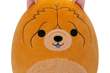 https://static.wikia.nocookie.net/squishmallowsquad/images/5/5b/Sandro-ChowChow.png/revision/latest/smart/width/386/height/259?cb=20231204083949