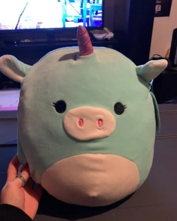 Jake | Squishmallows Wiki | Fandom