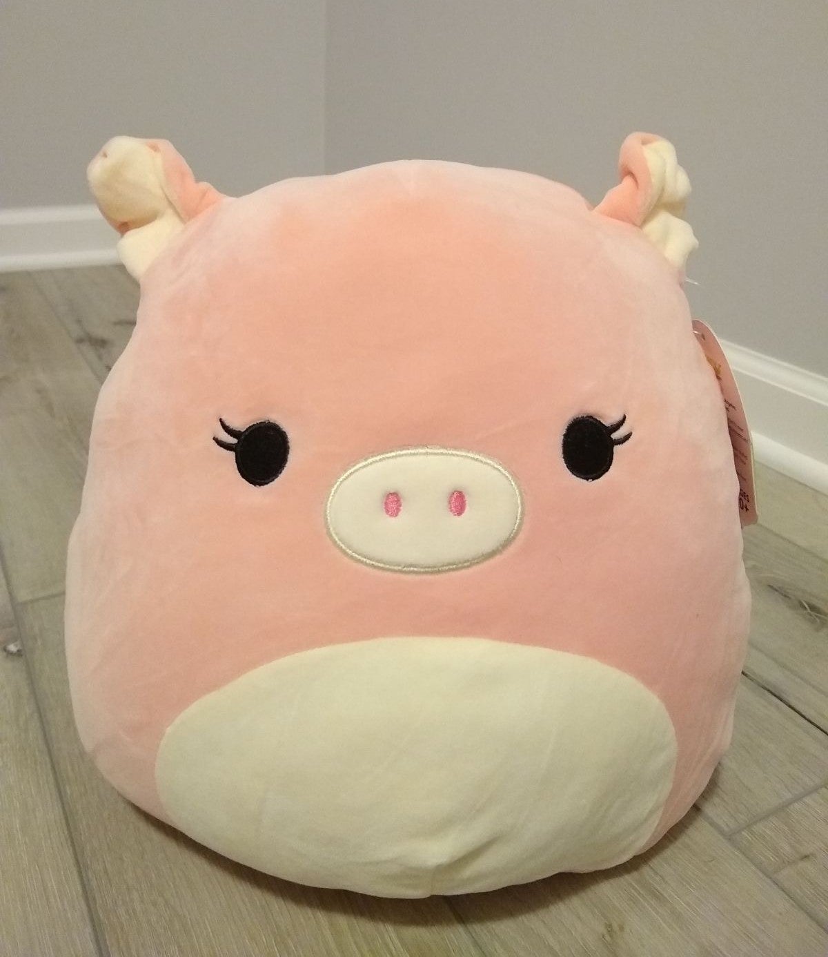 squishmallow pig
