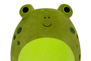 Wyatt, the laughing frog, new on the Squishmallow site (Wendy's younger  brother) : r/squishmallow