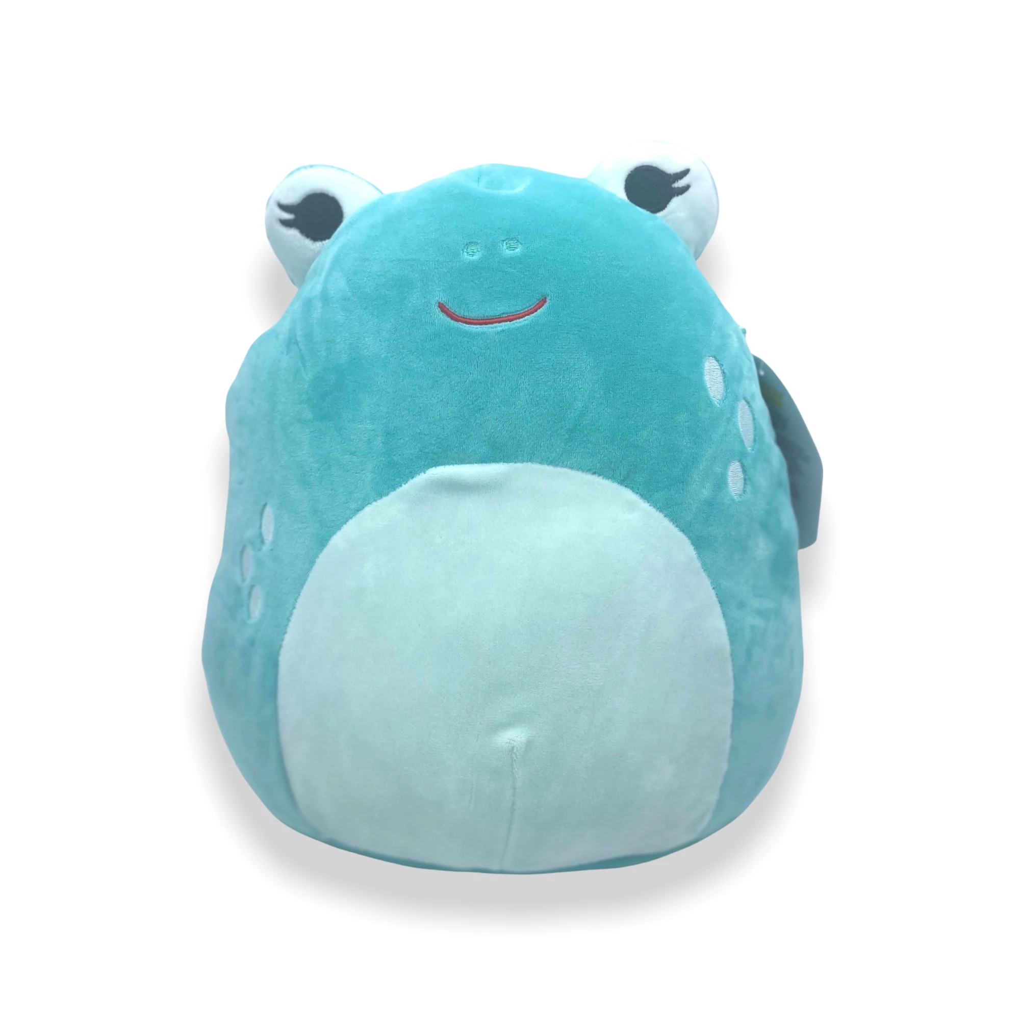 Squishmallow 8 Inch Micha the Frog I Got That Squad Plush Toy