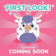 Conway on First Look Friday (May 26, 2023)