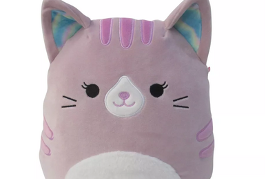 10” Mexican Frank the Cat Squishmallow hugmee