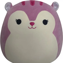 Squishmallow squirrel best sale