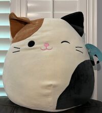 https://static.wikia.nocookie.net/squishmallowsquad/images/9/9a/Winking_Cam.jpg/revision/latest/scale-to-width-down/200?cb=20220726133430