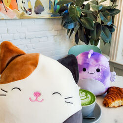 https://static.wikia.nocookie.net/squishmallowsquad/images/a/a1/Cameaston-post.jpg/revision/latest/scale-to-width-down/250?cb=20230810134530