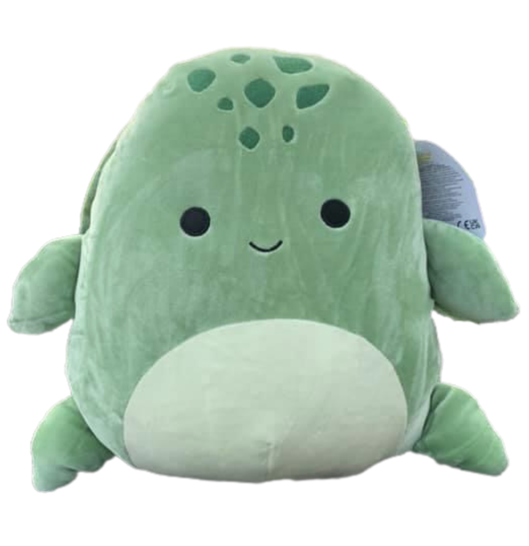 https://static.wikia.nocookie.net/squishmallowsquad/images/c/cc/Cole001.jpg/revision/latest?cb=20210510235714