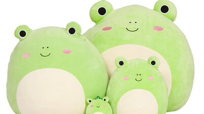 Rare Squishmallow Wendy The Frog 7