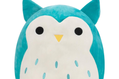 https://static.wikia.nocookie.net/squishmallowsquad/images/c/ce/Winston-Owl.png/revision/latest/smart/width/386/height/259?cb=20230922015122